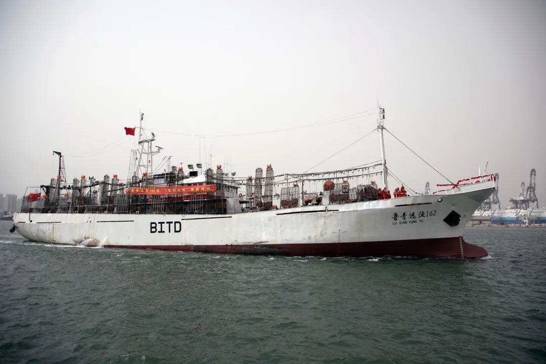 1646788570290894.jpg 1646788570290894.jpg