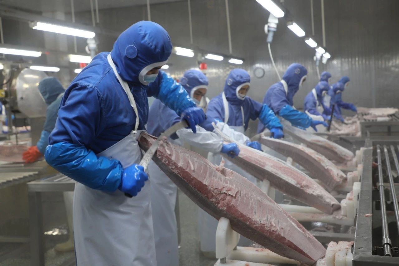 1736235577776293.jpg 微信圖片_20250107153828.jpg